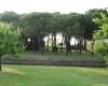 Photo of Villa For sale in Cavallino, Veneto , VENICE, Italy - via Pordeli 178 a